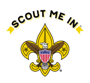 Feeling Meritorious? Want to help some Scouts get their badges?